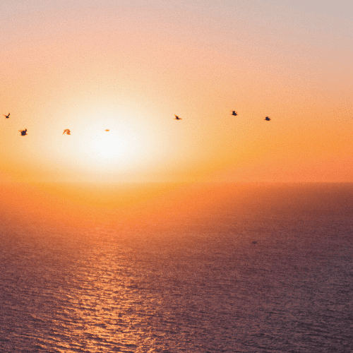 Audrey Mougenot - Lever de soleil